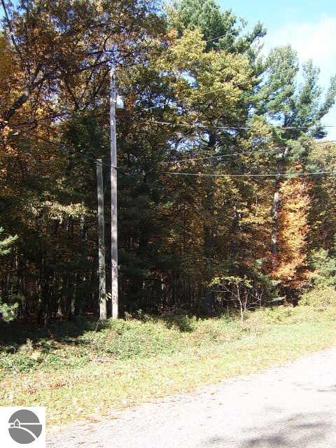 00 Rumsey Rd, Au Gres, MI 48703 - photo 1