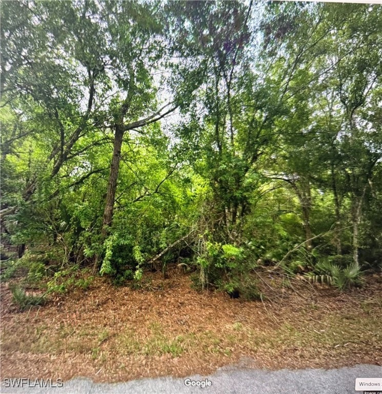 23423 Buckner Ave, Port Charlotte, FL 33980 - photo 1