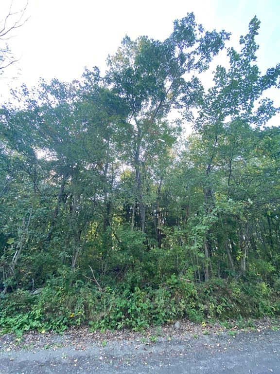 0 Coy Hill Rd unit 72895526, Warren, MA 01083 - photo 1