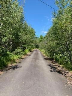 middle driveway pic
