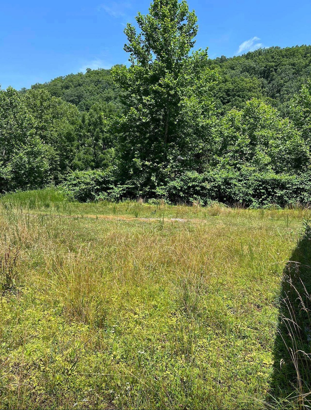 4 Mile Creek 30 25 Acres, Branchland, WV 25506 - photo 1