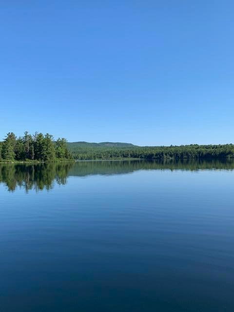Hancock Pond view