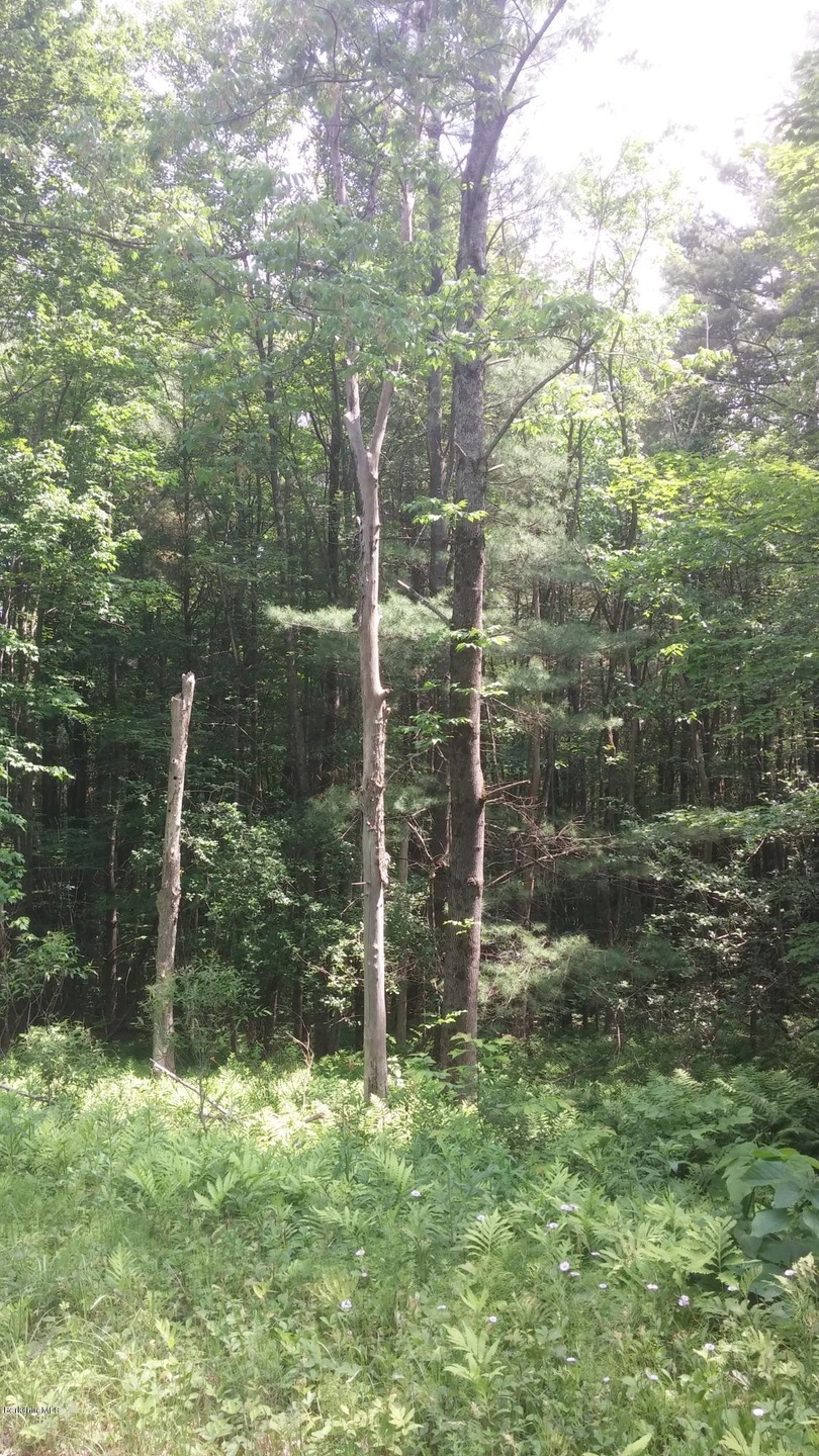 unlisted-address, Cummington, MA 01026 - photo 1