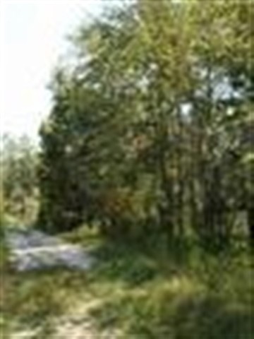 unlisted-address, Monticello, FL 32344 - photo 1