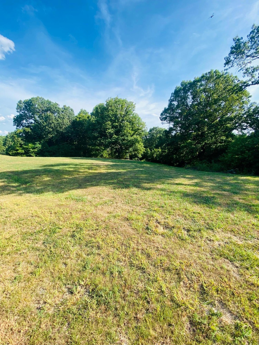Lot 35a