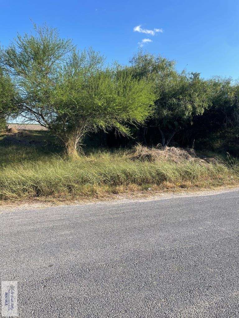 00 Irene unit 24 & 25, Arroyo Colorado Estates, TX 78586 - photo 1