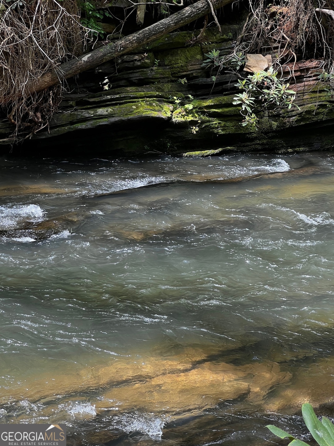 105 Chinquapin Ln, Clarkesville, GA 30523 - photo 1