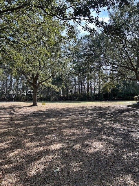 View of lot from park