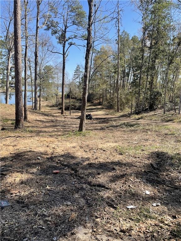 0 Amelia Lot 14 Ln unit 2487037, Boyce, LA 71409 - photo 1