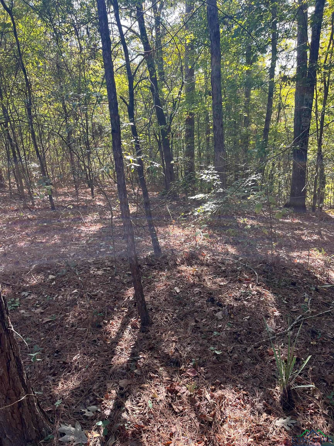 209 210 Cherokee Trail, Jefferson, TX 75657 - photo 1