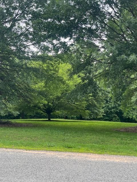 00 White Ridge Rd, Sutherlin, VA 24594 - photo 1