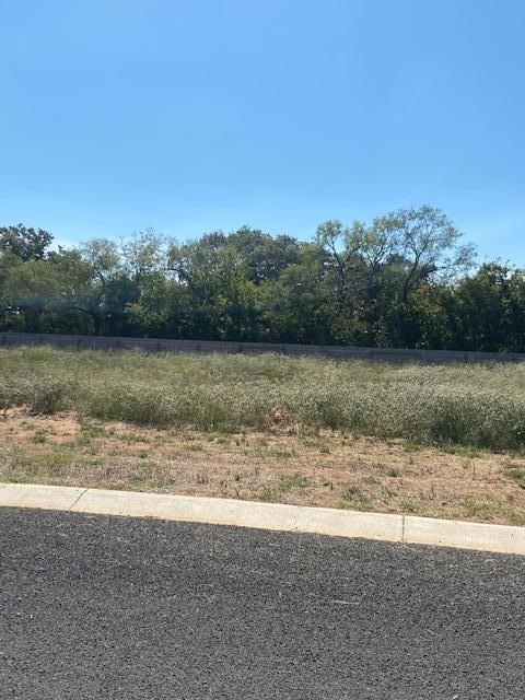 105 Parlin Ln unit 45, Fredericksburg, TX 78624 - photo 1