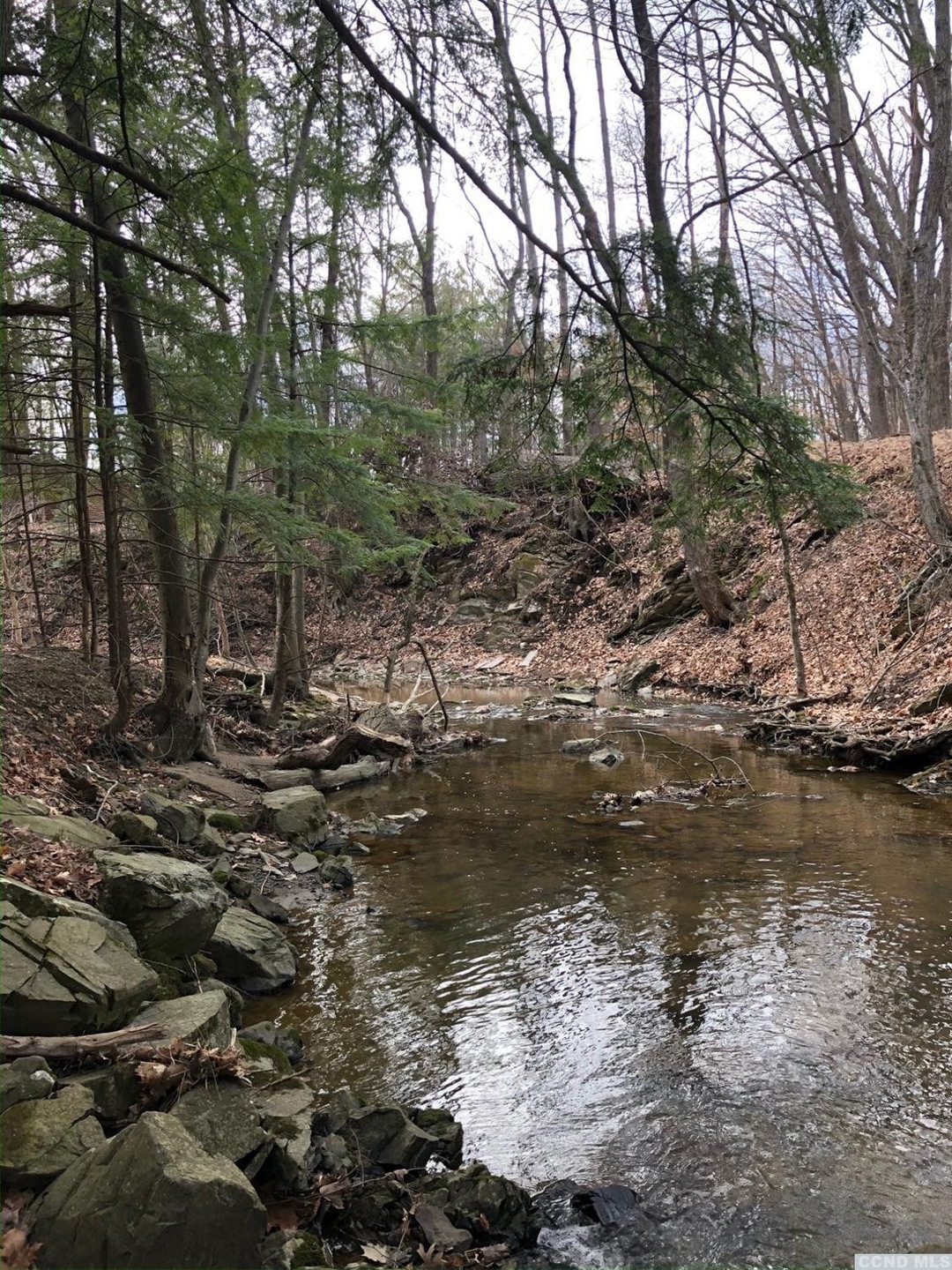 23 Woodpecker Ct, Coxsackie, NY 12051 - photo 1