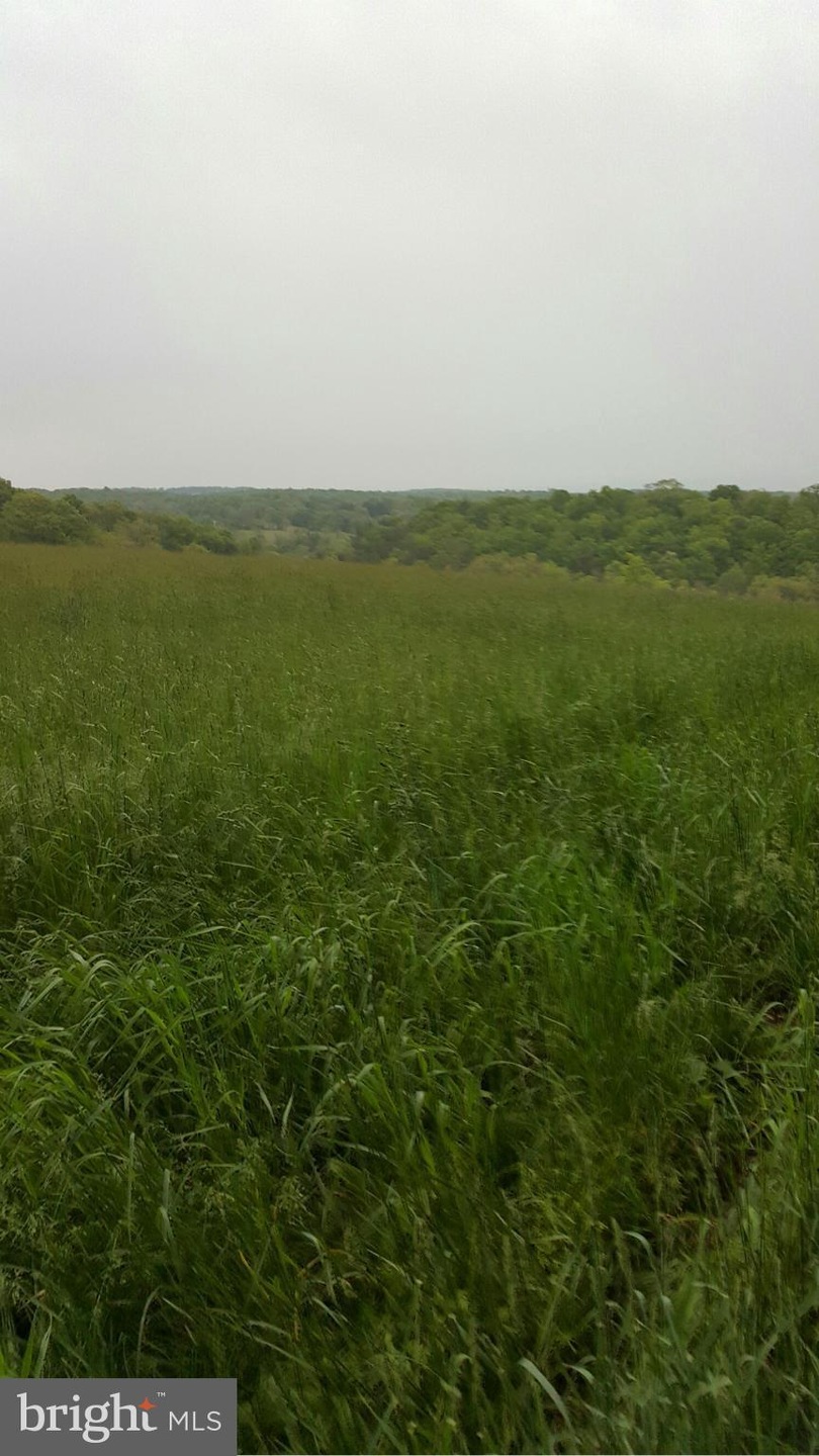 unlisted-address, Edinburg, VA 22824 - photo 1