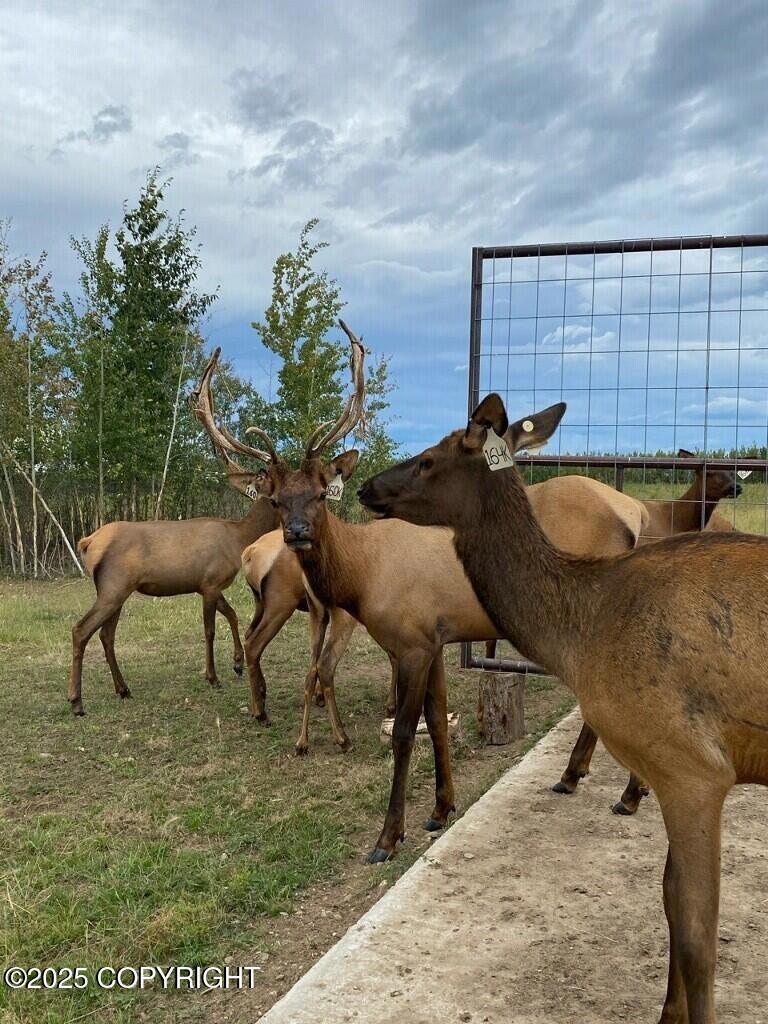 Tatanka Ranch 2.2