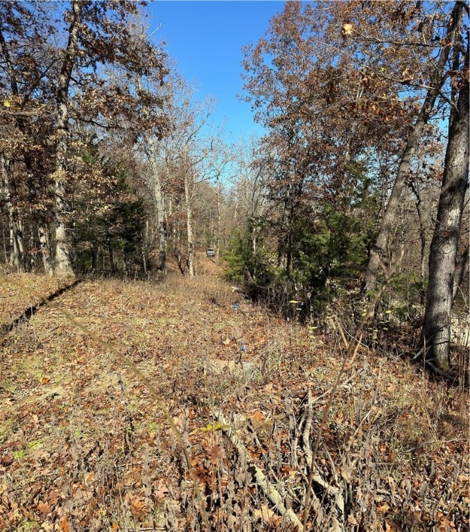 looking from south to north along water line easem