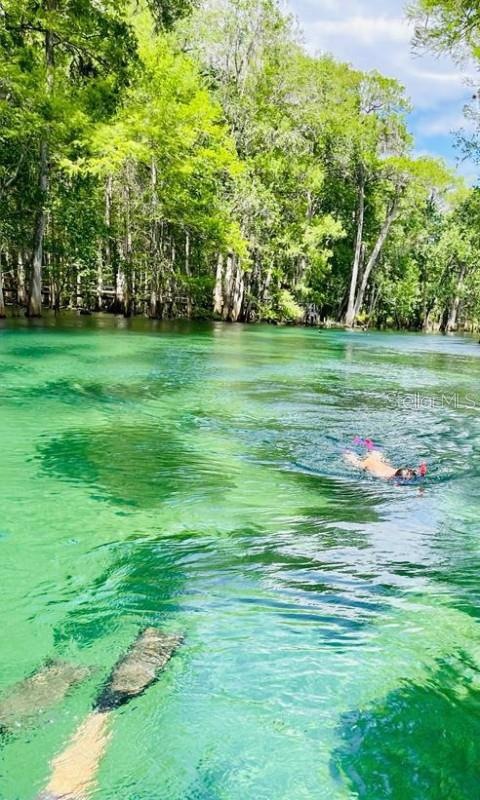 unlisted-address, Dunnellon, FL 34432 - photo 1