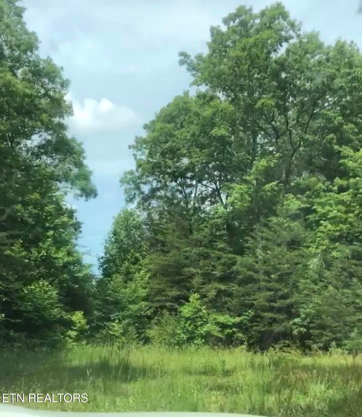 14 Clear Fork Dr, Jamestown, TN 38556 - photo 1