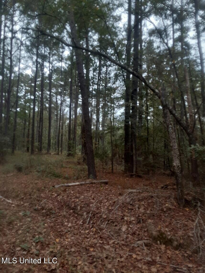 land