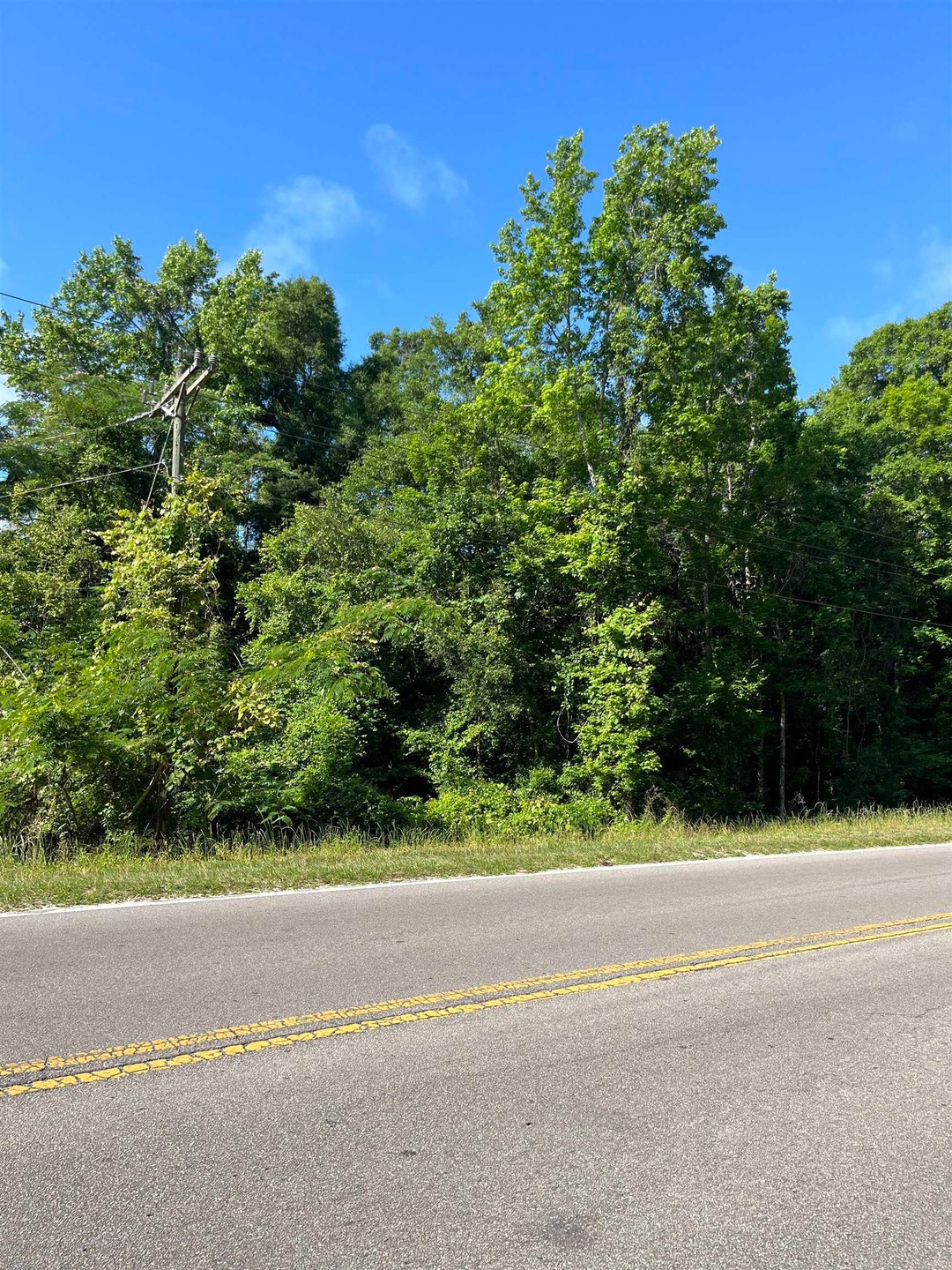 1081 Doctor Martin Luther King Junior Memorial Rd, Crawfordville, FL 32327 - photo 1