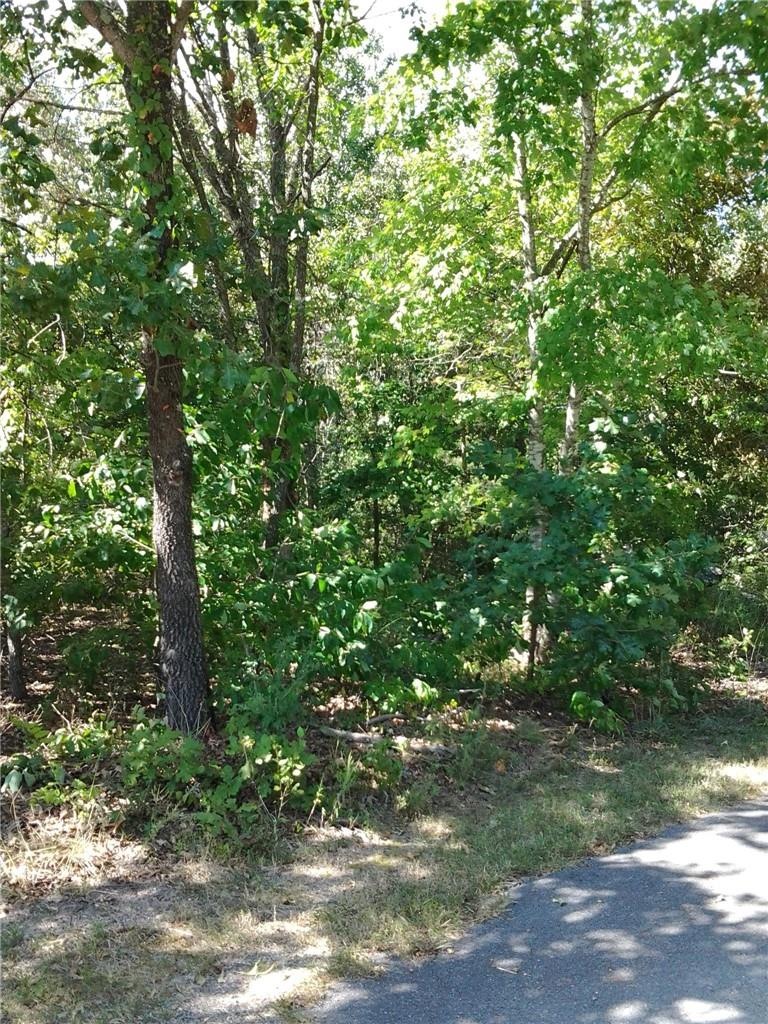 Lot 7 Block 6 Lindfield Ln, Bella Vista, AR 72715 - photo 1