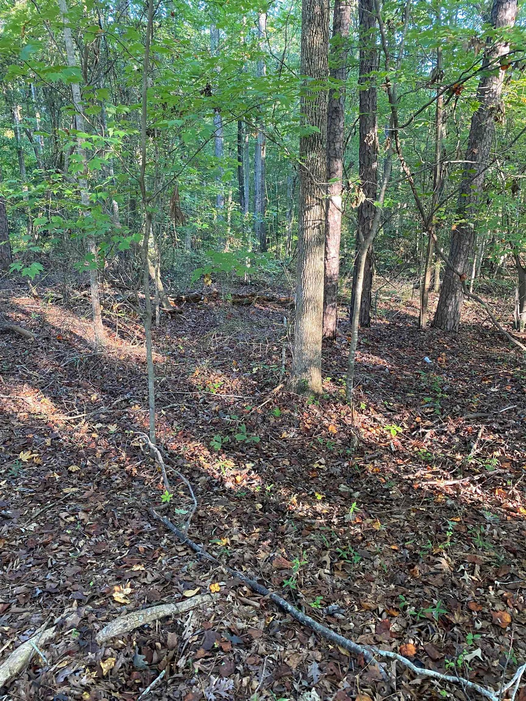 Sold $10,000 • Co-Listing Agent