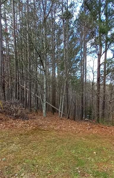 Beautiful 3 +/- acre wooded Homesite in Creekside 