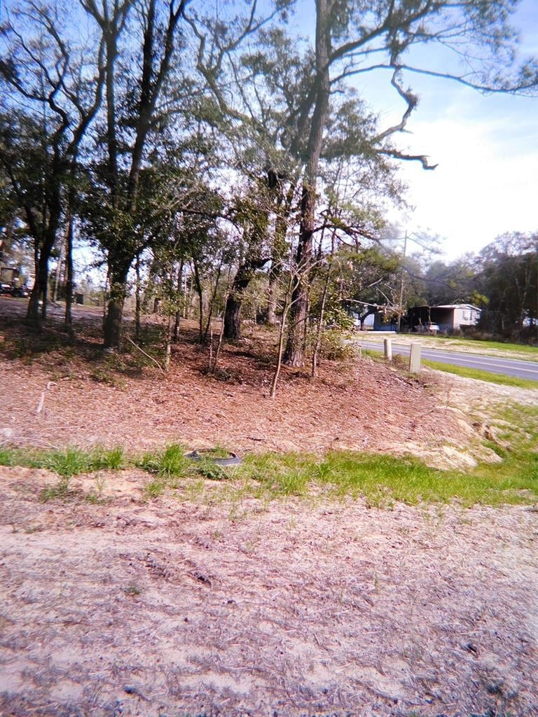 00 Joy Bluff Rd, Reidsville, GA 30453 - photo 1