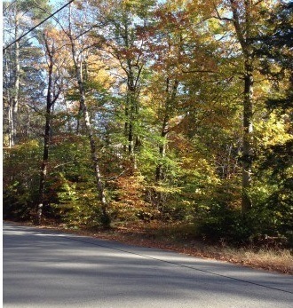 Map 23 Lot 43 NE Pond Rd, Milton, NH 03851 - photo 1