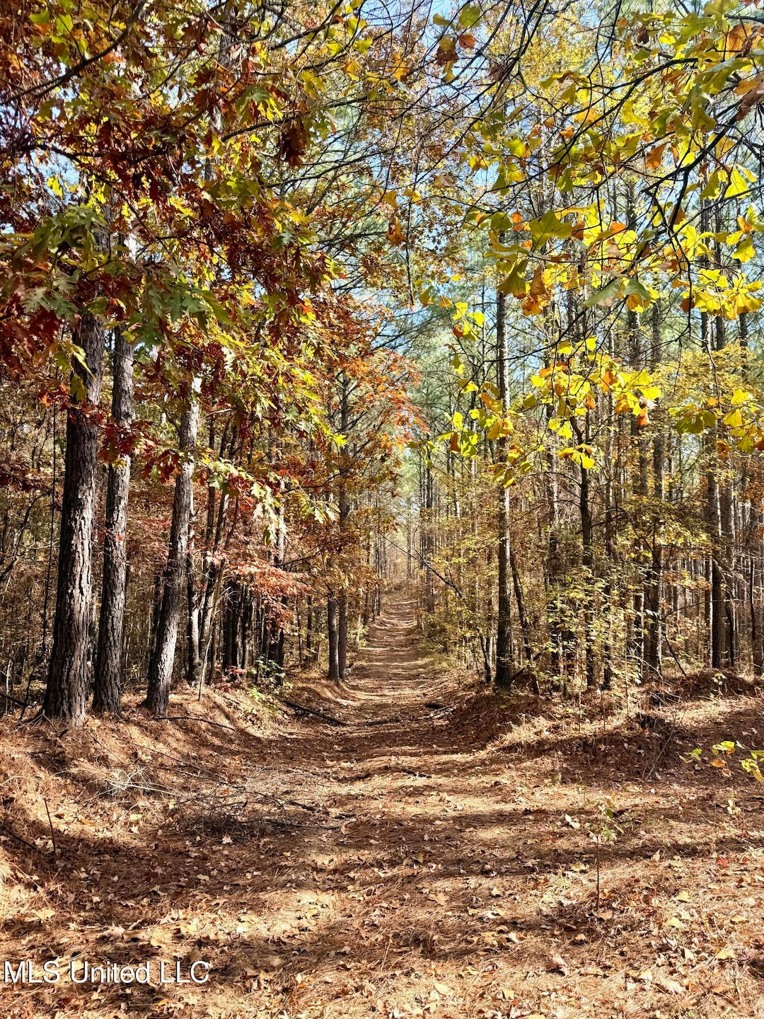 0 Laws Hill Rd unit 4133415, Holly Springs, MS 38635 - photo 1