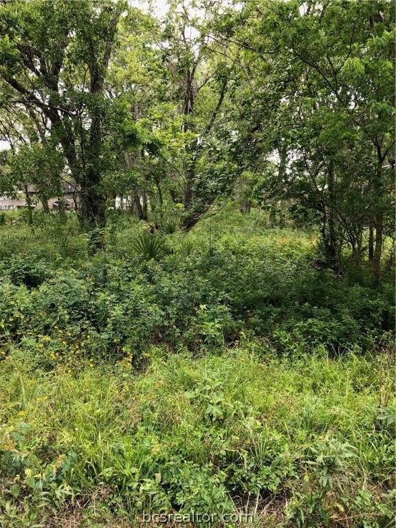 20402 CR 510 U LANE Leperchaun Ln Ln, Other, TX 77422 - photo 1