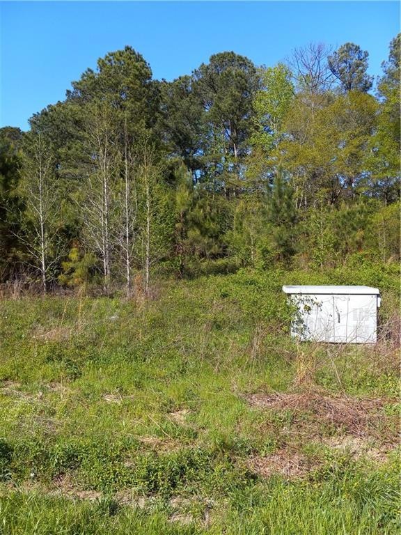 710 W Hightower Trail, Conyers, GA 30012 - photo 1