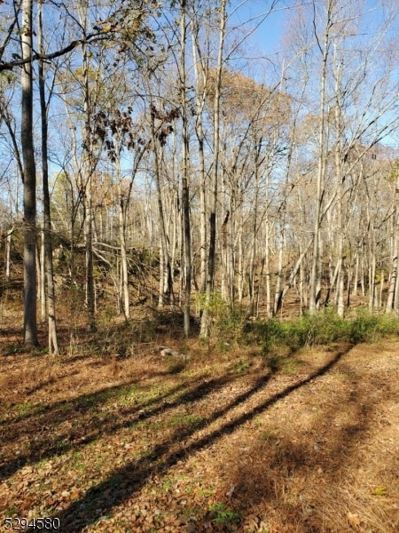 0 Martin St, Newton, NJ 07860 - photo 1