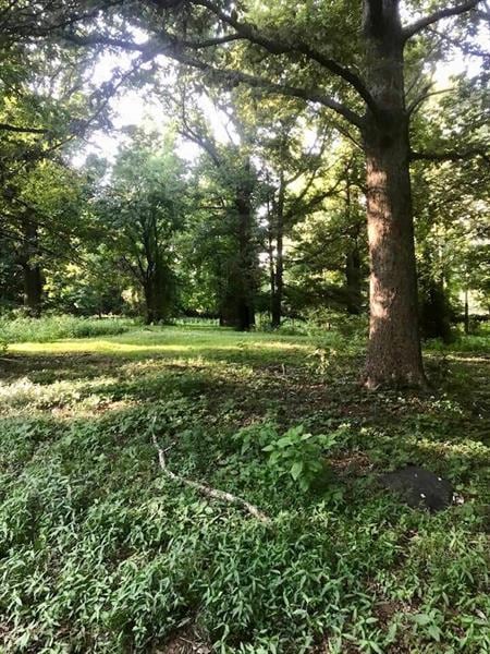 0 Geiger Rd, Winder, GA 30680 - photo 1