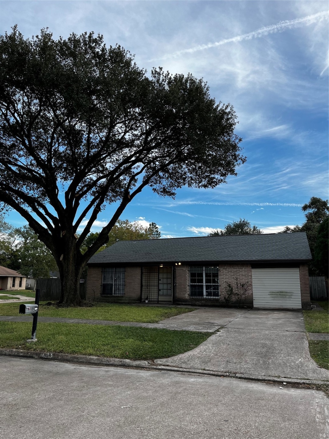 Corner lot, mature oak tree