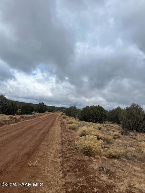 54515 Calle Contenta, Seligman, AZ 86337 - photo 1