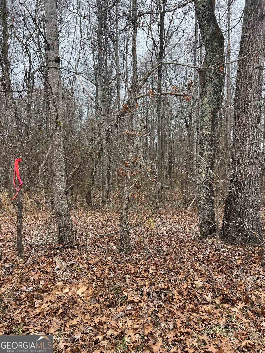 0 Mangham Rd unit 20172036, Bremen, GA 30110 - photo 1