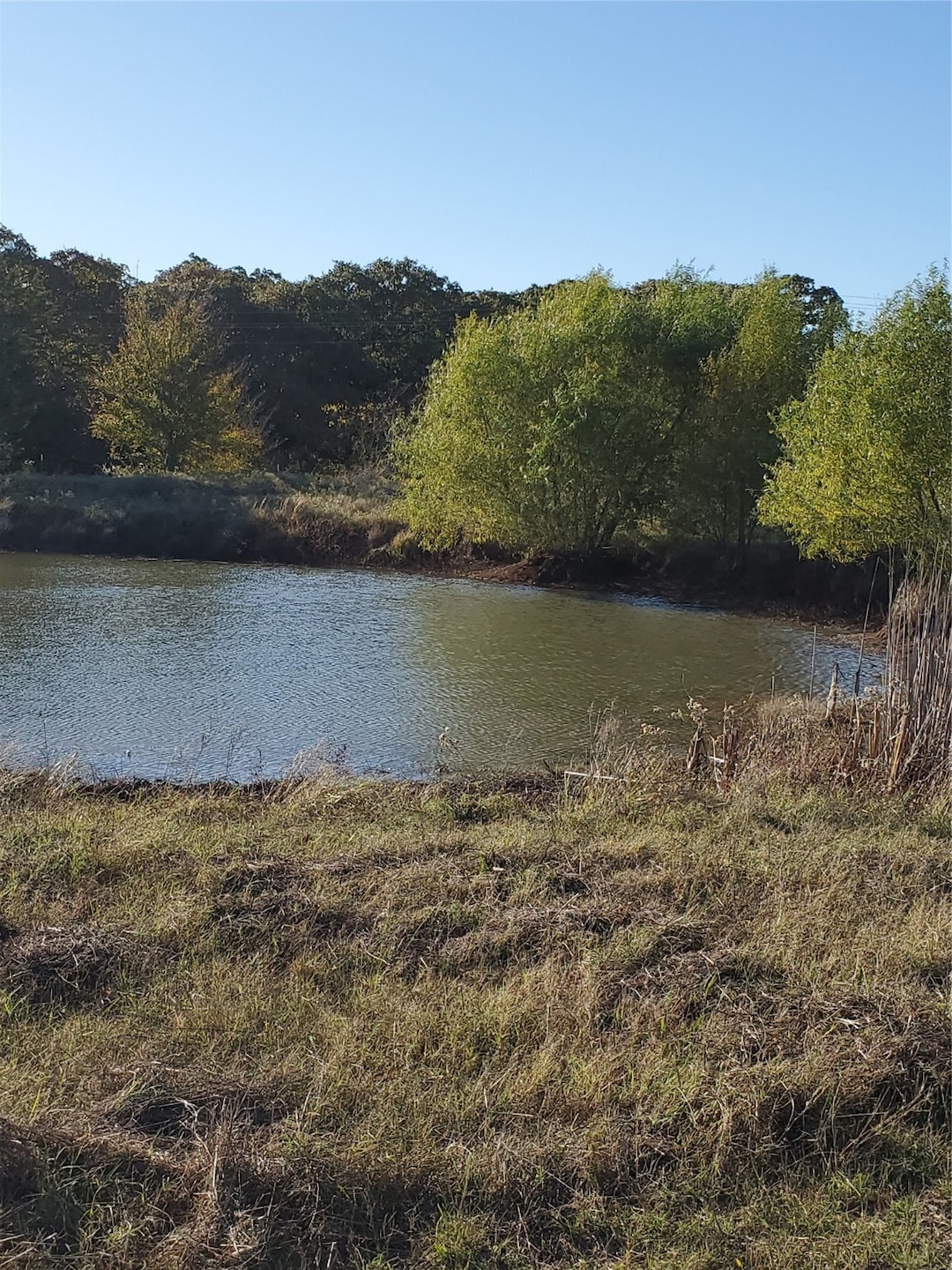 Pond.