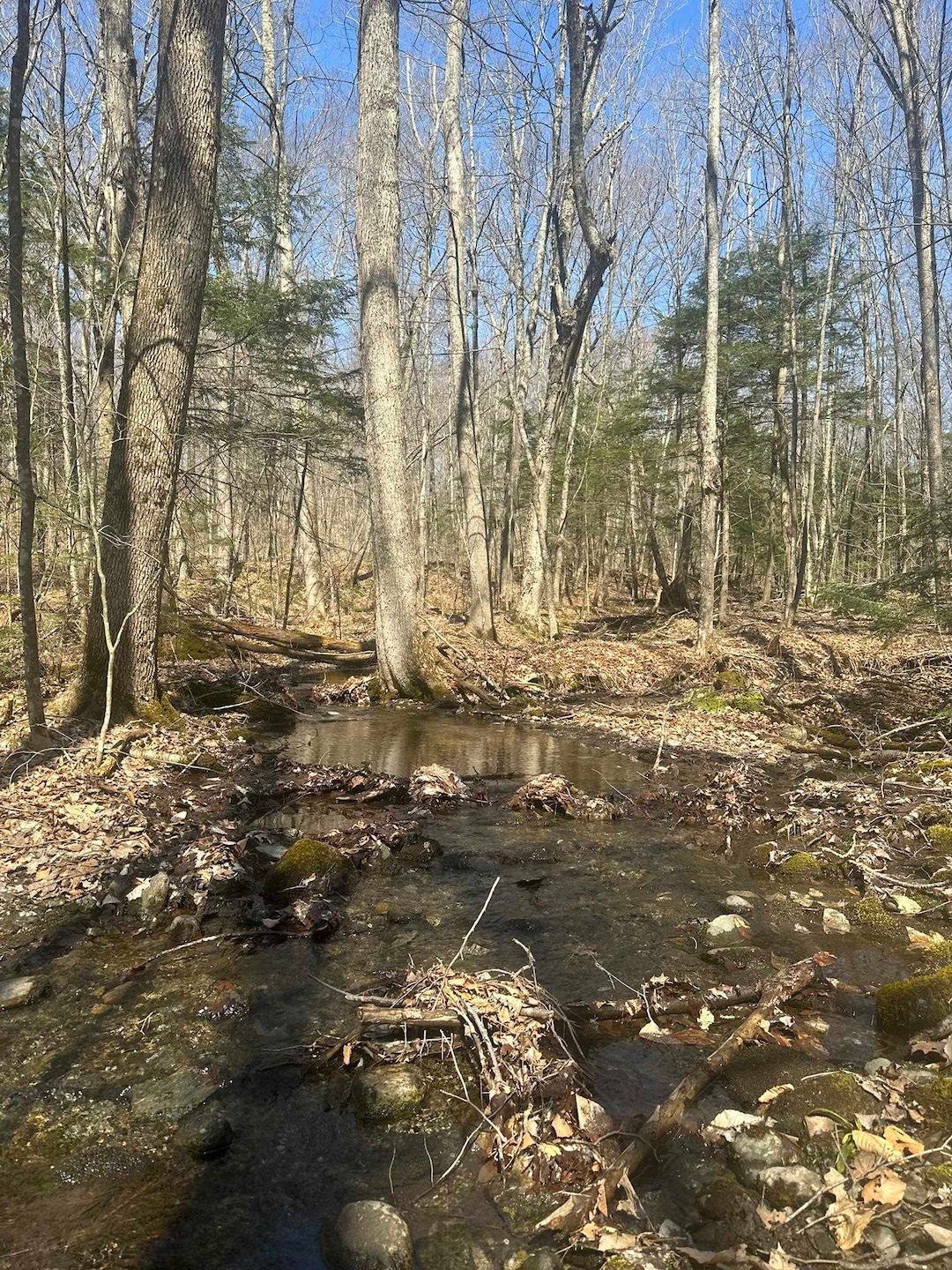 130 Dimock Ln, Richmond, VT 05477 - photo 1