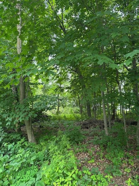 For Sale $40,000 • Co-Listing Agent