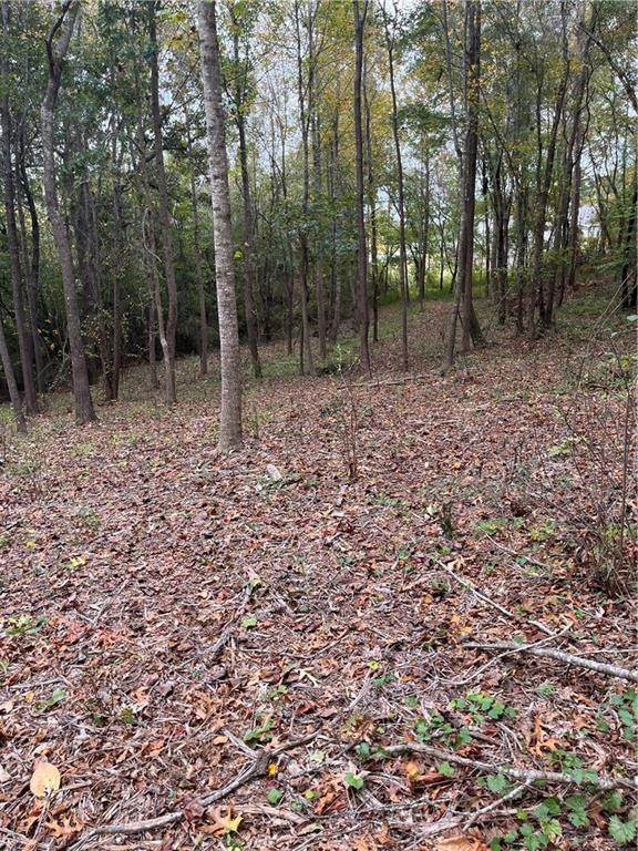Underbrush already cleared in this area.