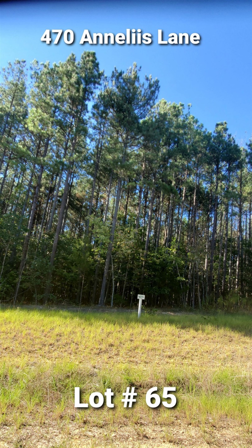 470 Anneliis Ln, Siler City, NC 27344 - photo 1