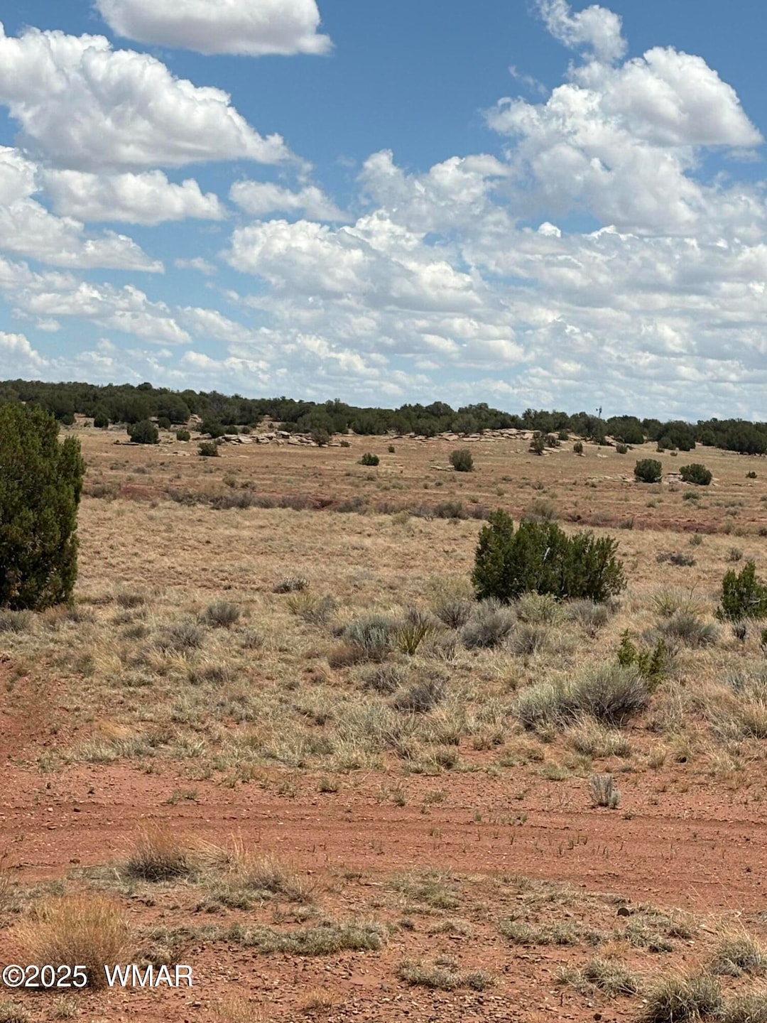 Quad Trail