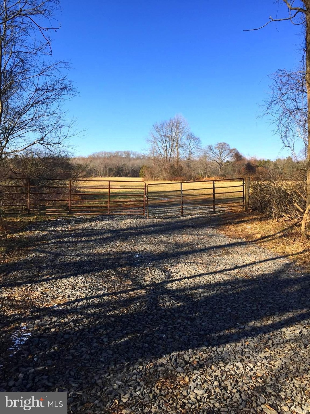 0 Tail Race Rd unit 1004352325, Aldie, VA 20105 - photo 1