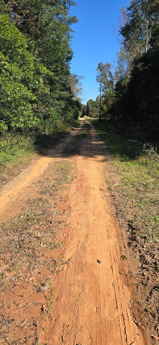 0 Ruby St, Jackson, SC 29831 - photo 1