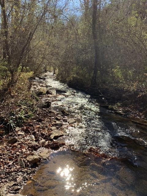 Lot 95 Cedar St, Ellijay, GA 30540 - photo 1