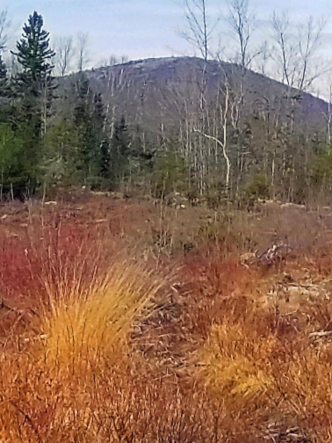View of mountain