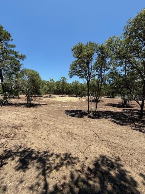 0 SE 148th Ave unit MFROM702851, Williston, FL 32696 - photo 1