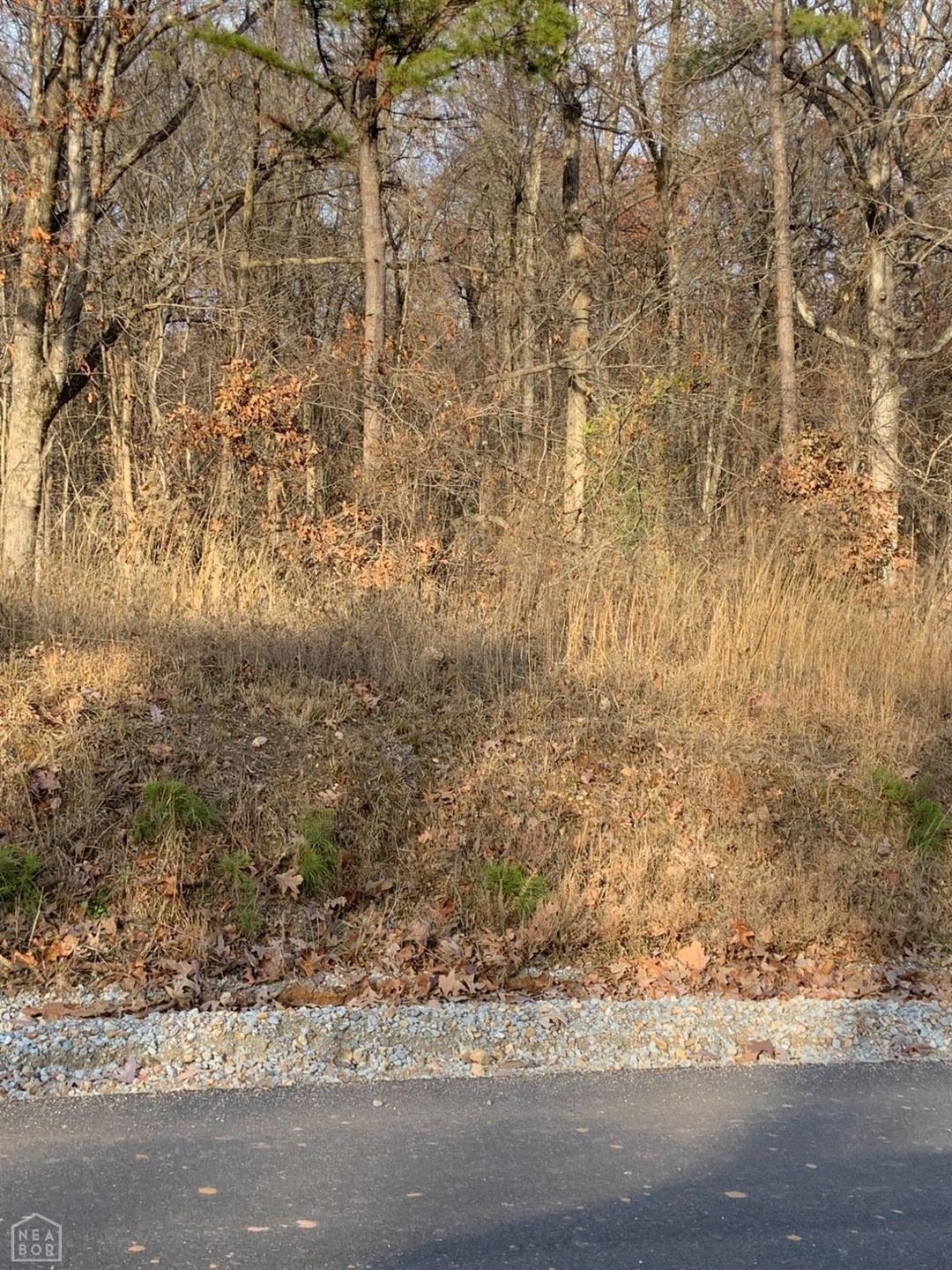 unlisted-address, Paragould, AR 72450 - photo 1