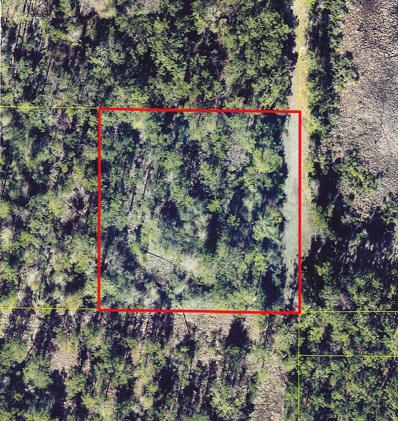 0 Tbd Edgerly Dequincy Rd, Vinton, LA 70668 - photo 1